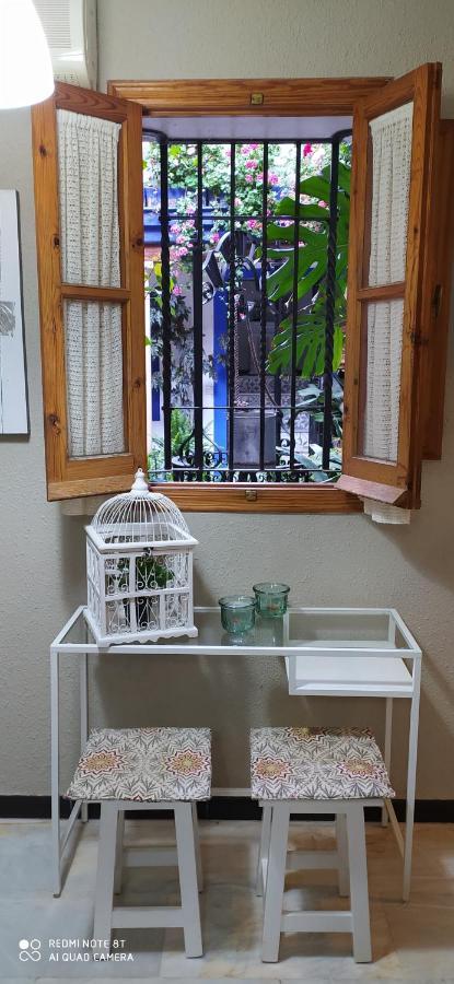 Alojamiento Casa Tipica De Cordoba Dış mekan fotoğraf