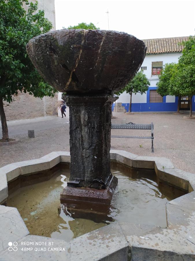 Alojamiento Casa Tipica De Cordoba Dış mekan fotoğraf