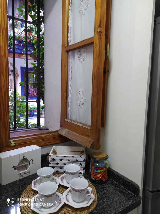 Alojamiento Casa Tipica De Cordoba Dış mekan fotoğraf