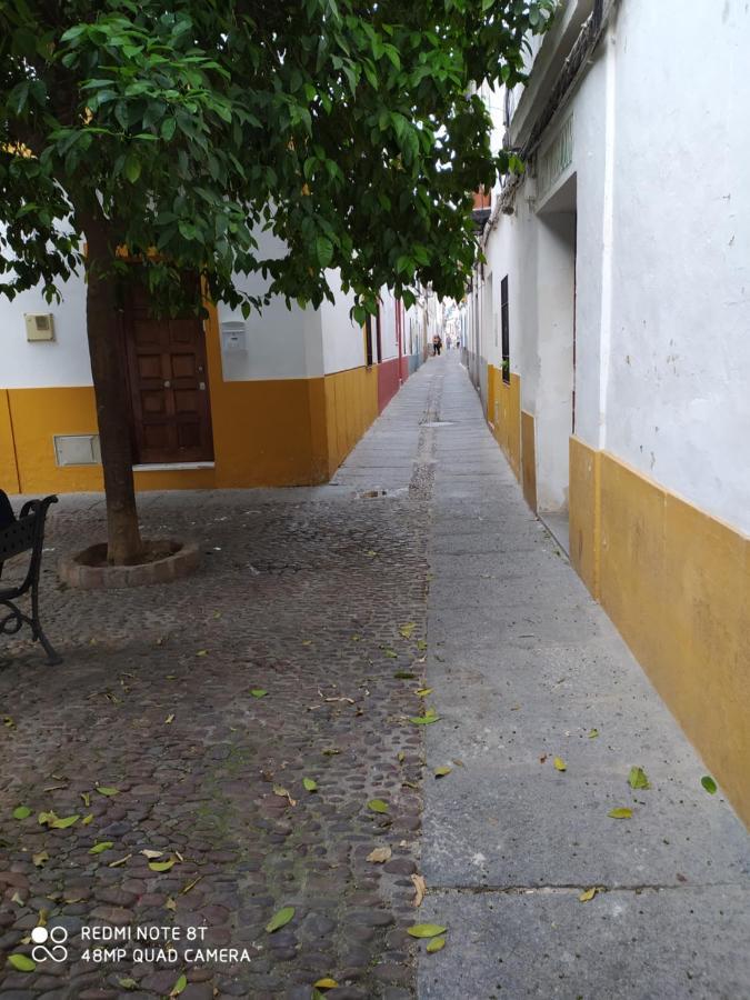 Alojamiento Casa Tipica De Cordoba Dış mekan fotoğraf