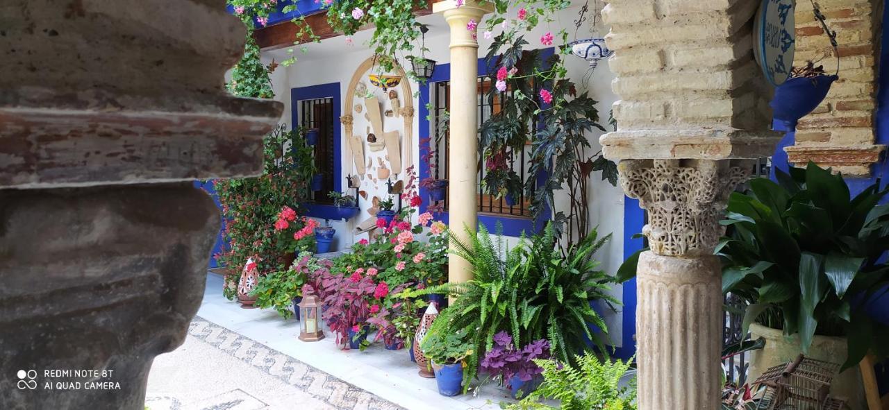 Alojamiento Casa Tipica De Cordoba Dış mekan fotoğraf
