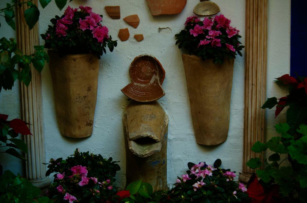 Alojamiento Casa Tipica De Cordoba Dış mekan fotoğraf
