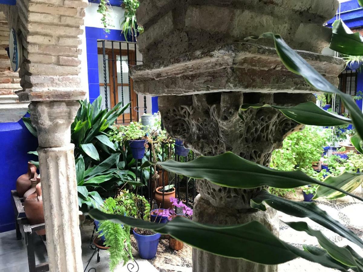 Alojamiento Casa Tipica De Cordoba Dış mekan fotoğraf