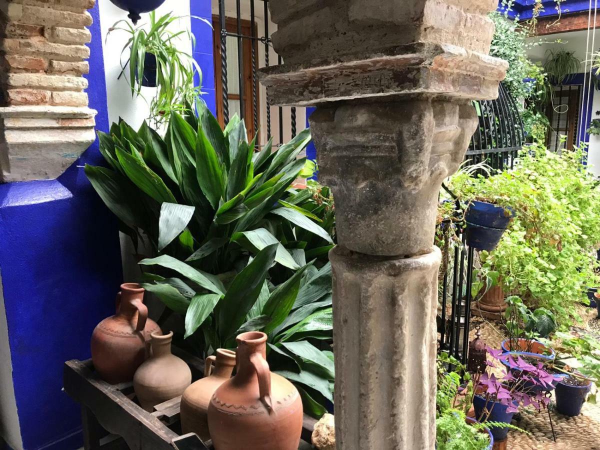 Alojamiento Casa Tipica De Cordoba Dış mekan fotoğraf